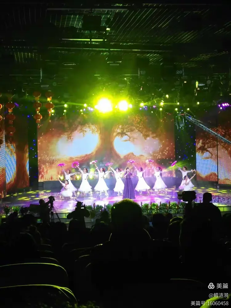 雄鹿观众热烈欢呼!,Scout迎来五赛季出色发挥赢得满堂喝彩 雄鹿观众热烈欢呼!,Scout迎来五赛季出色发挥赢得满堂喝彩